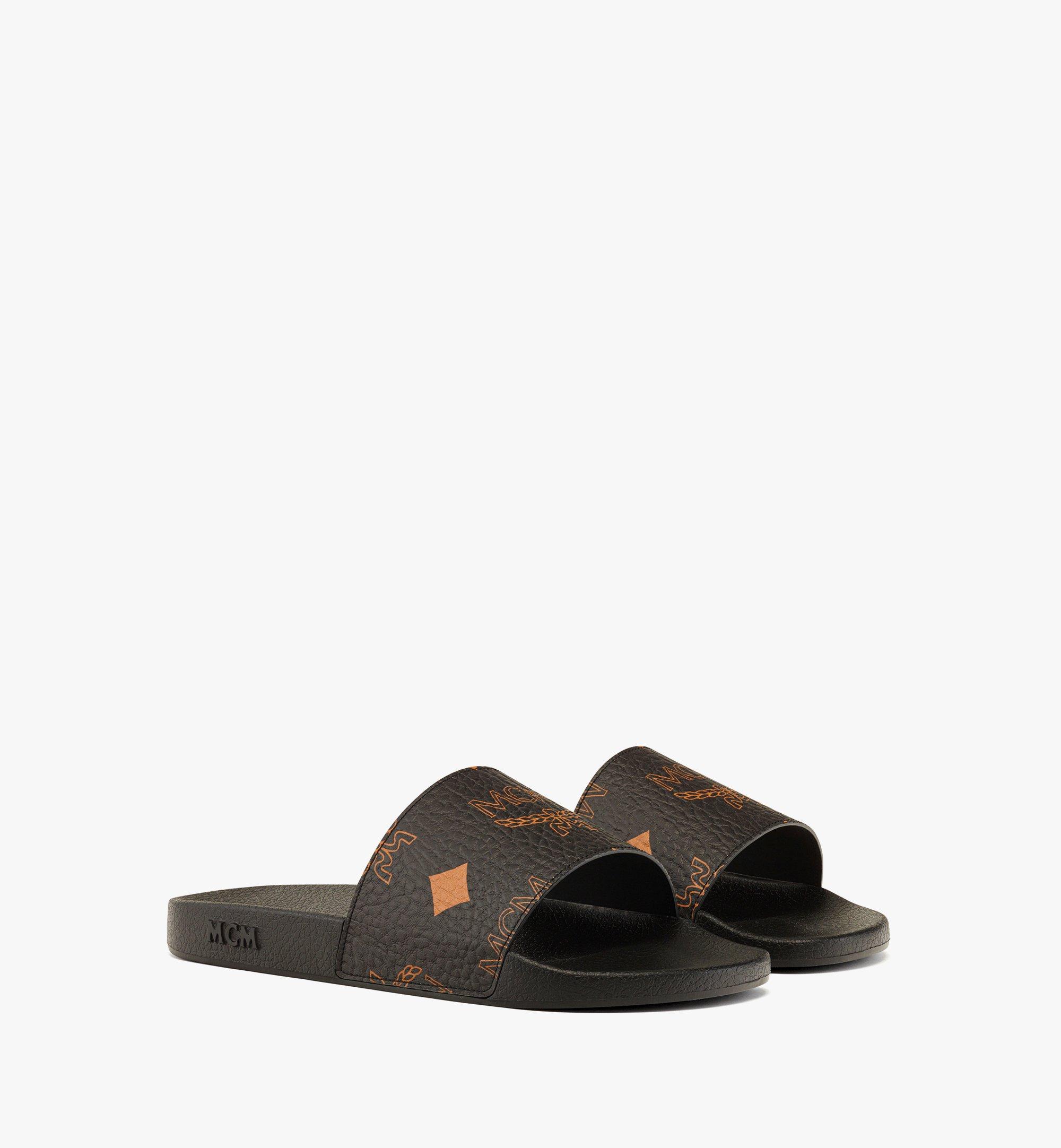 Maxi Visetos Slides