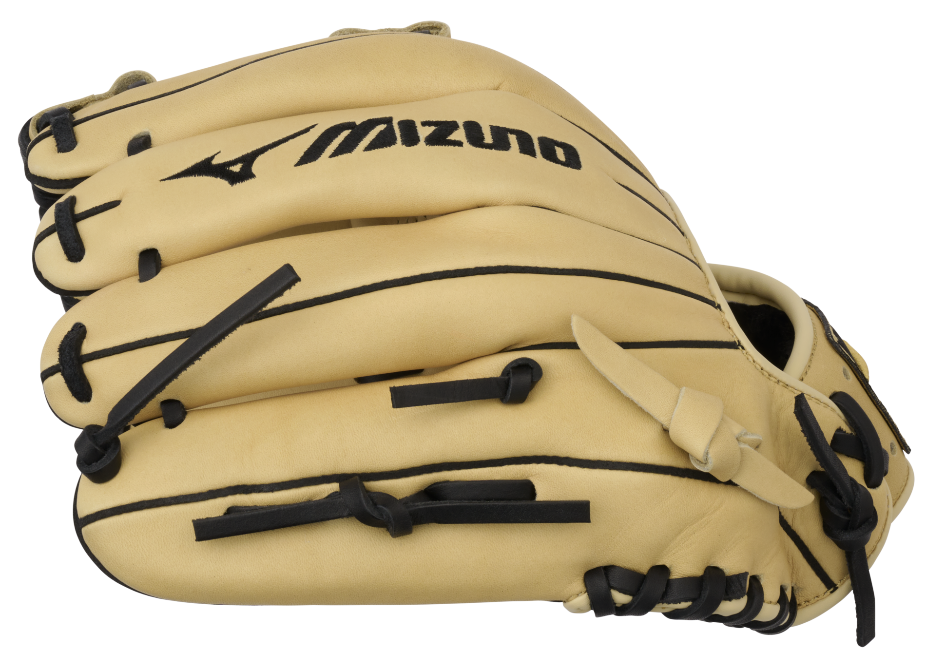 ひると　　　　F,N ,M,P,V 313231_w_1280%26h_1280%