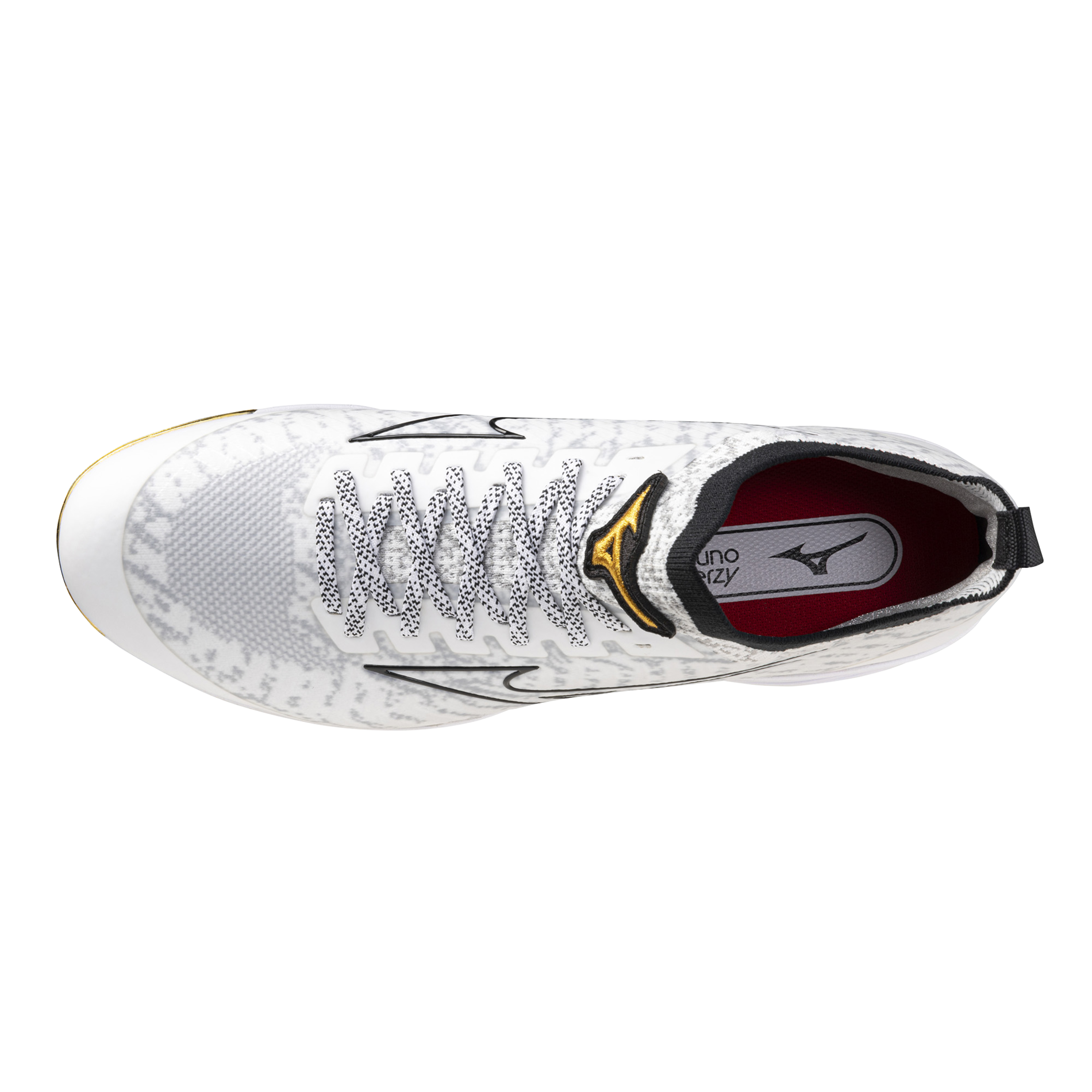 Men's MIZUNO Pro Metal Baseball Cleat