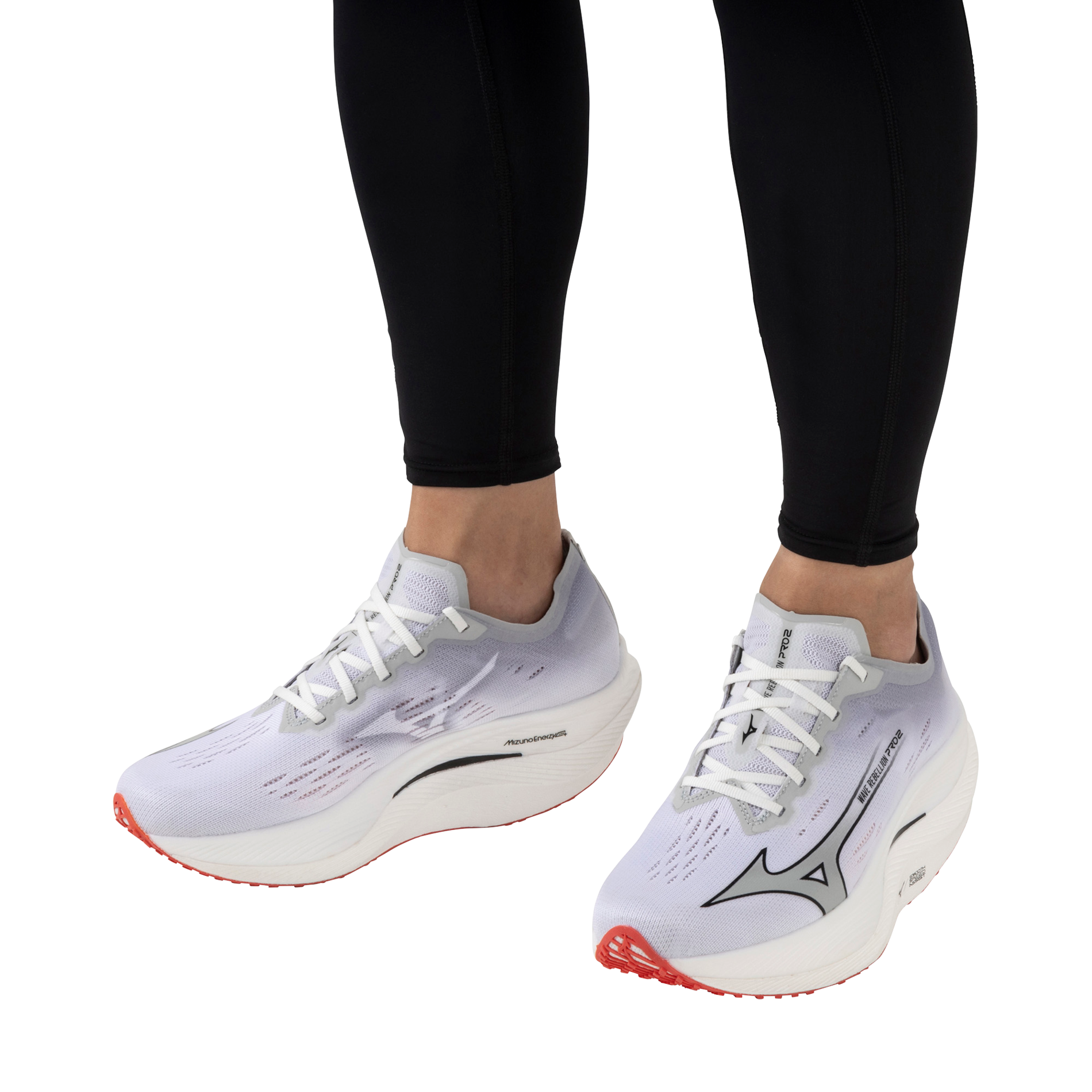 Mizuno WAVE REBELLION PRO 2 26.5cmプレート入り Mizuno WAVE REBELLION PRO 2 26.5cmプレート入り