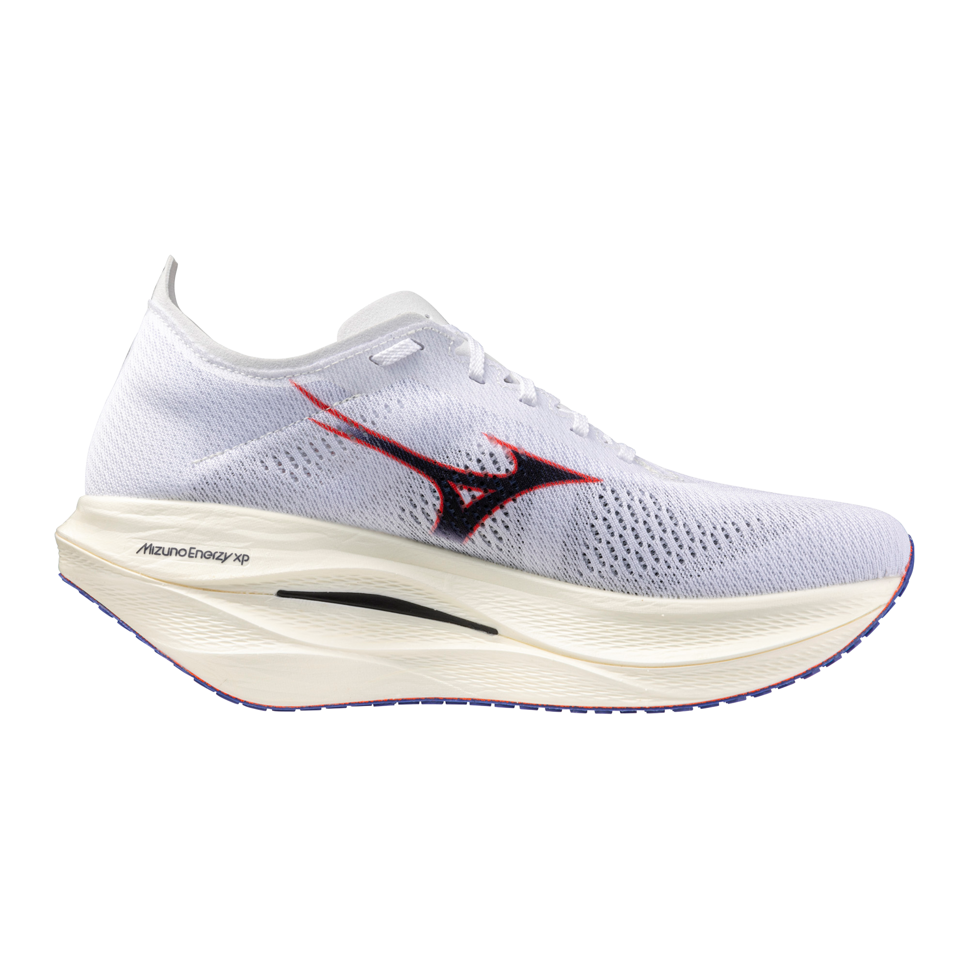 ウエーブリベリオンプロ 3 WaveRebellionPro3 28cm MIZUNO ミズノ WAVE REBELLION PRO 3 ウエーブリベリオンプロ3