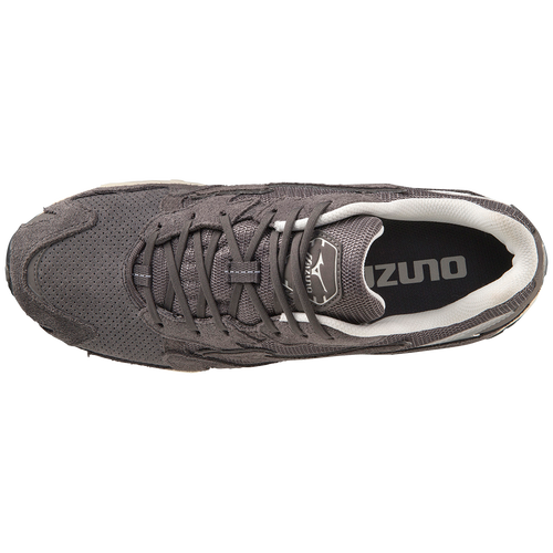 nori110 Mizuno Wave Rider 10 Silver Cloud Sunstruck Men's