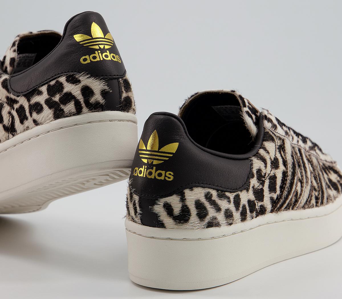 superstar bold leopard