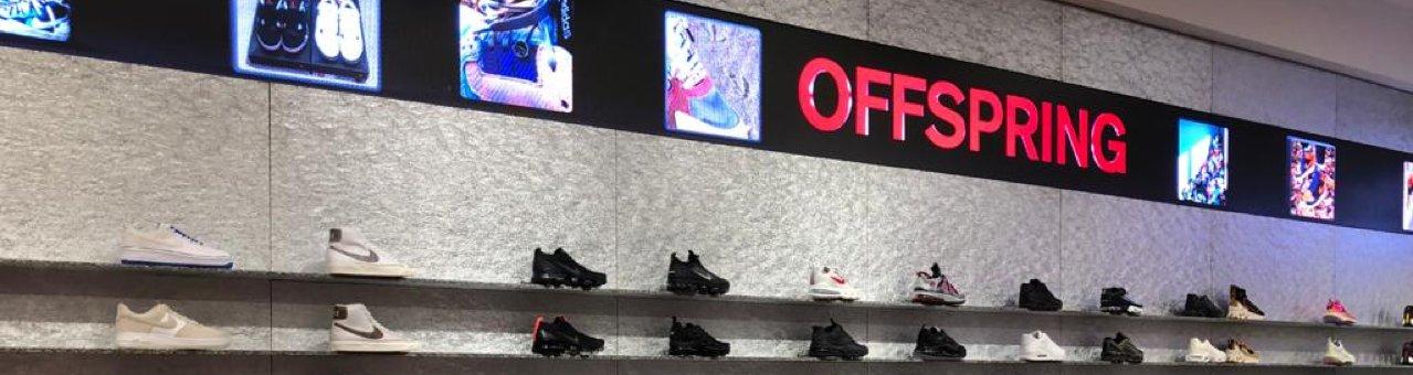 offspring shoes