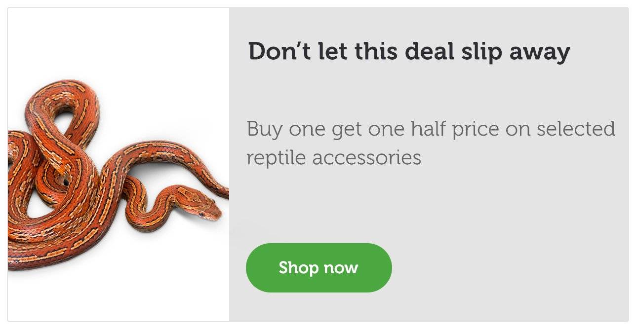 pets at home reptile accessories