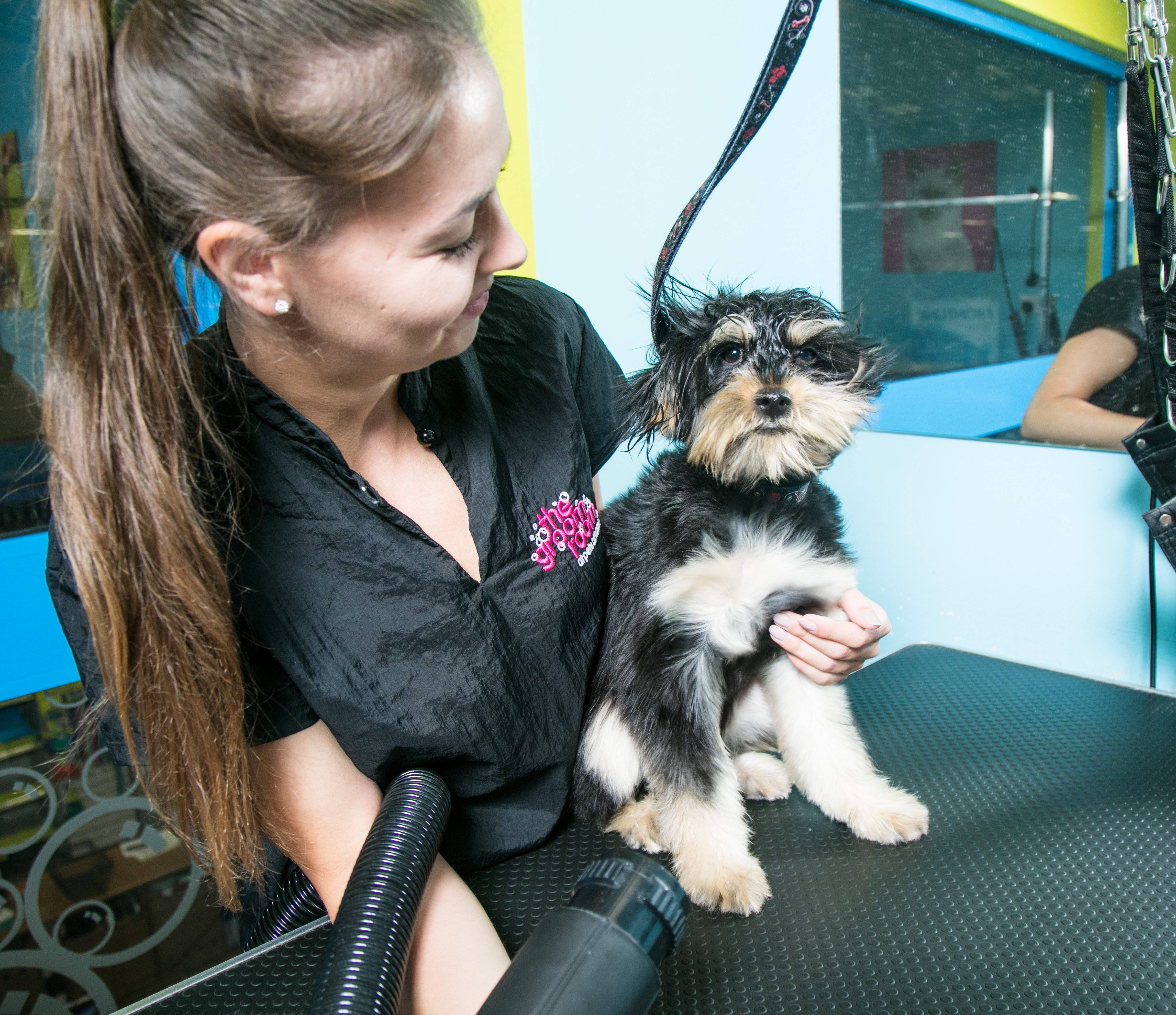 pets at home puppy groom