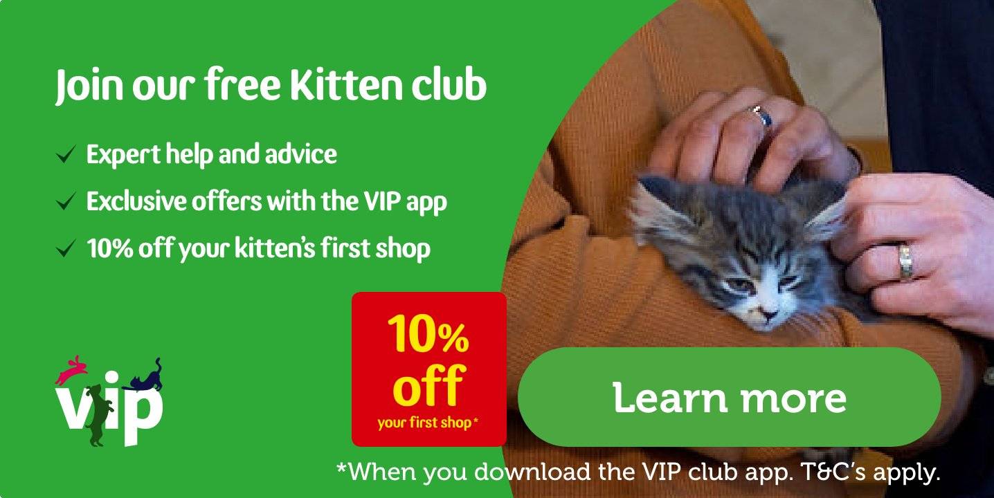 kitten teething toys pets at home