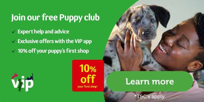 puppy club pets at home