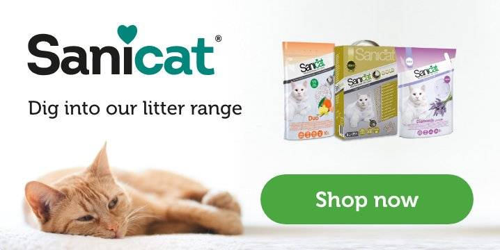 pets at home litter tray