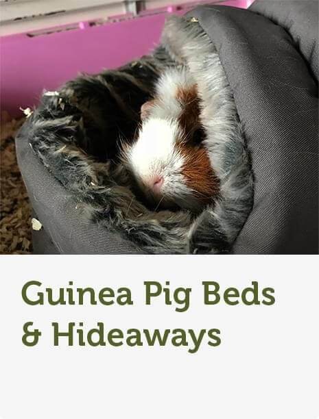 Guinea Pig Supplies | Food, Hutches 