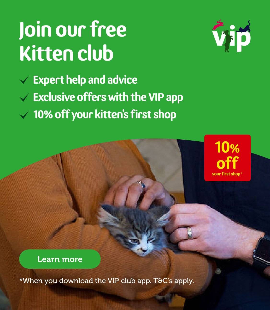 kitten supplies uk
