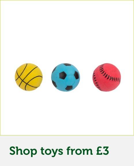 dog ball launcher pets at home