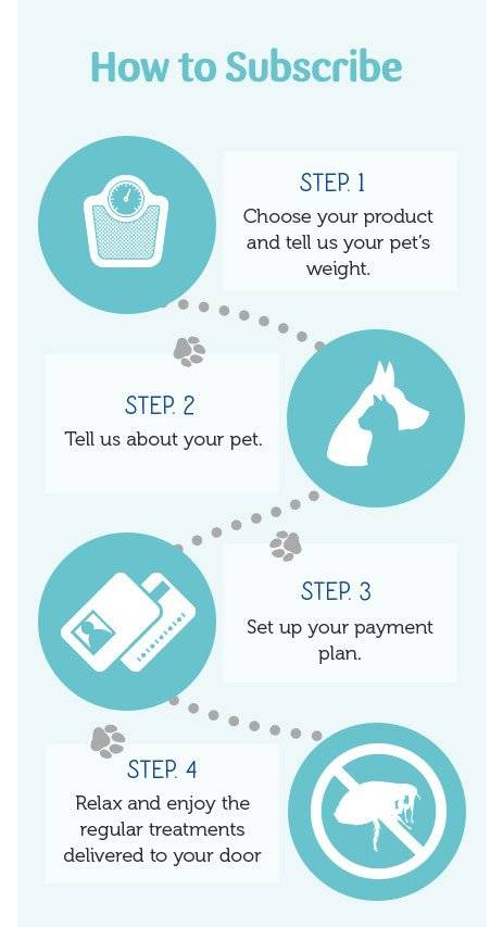 Flea treatment subscription | Pets At Home