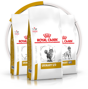 Royal Canin | Buy Royal Canin pet food at Pets At Home