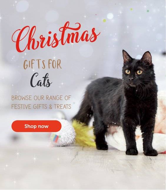 pets at home cat accessories