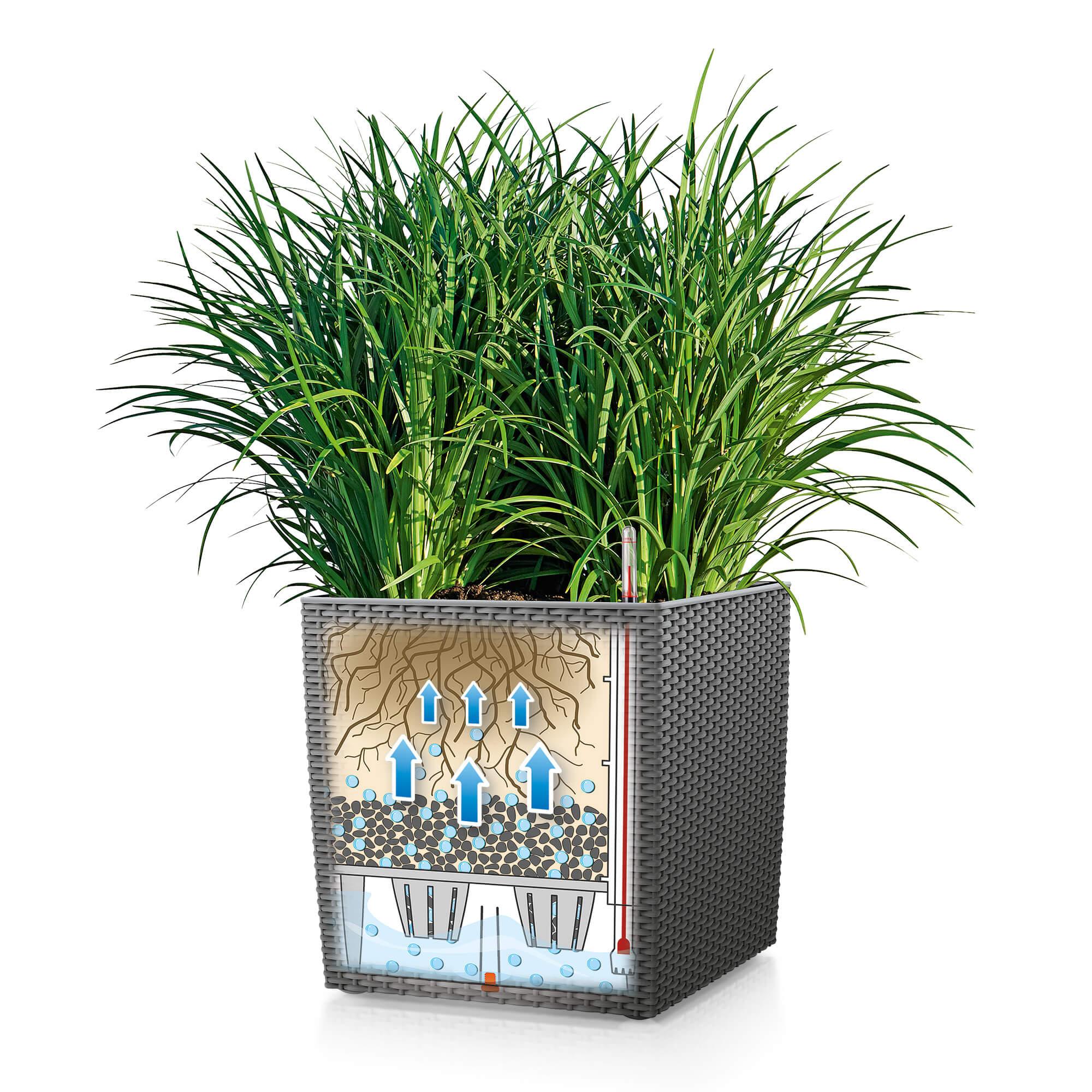 le_cube-cottage_product_addi_sws