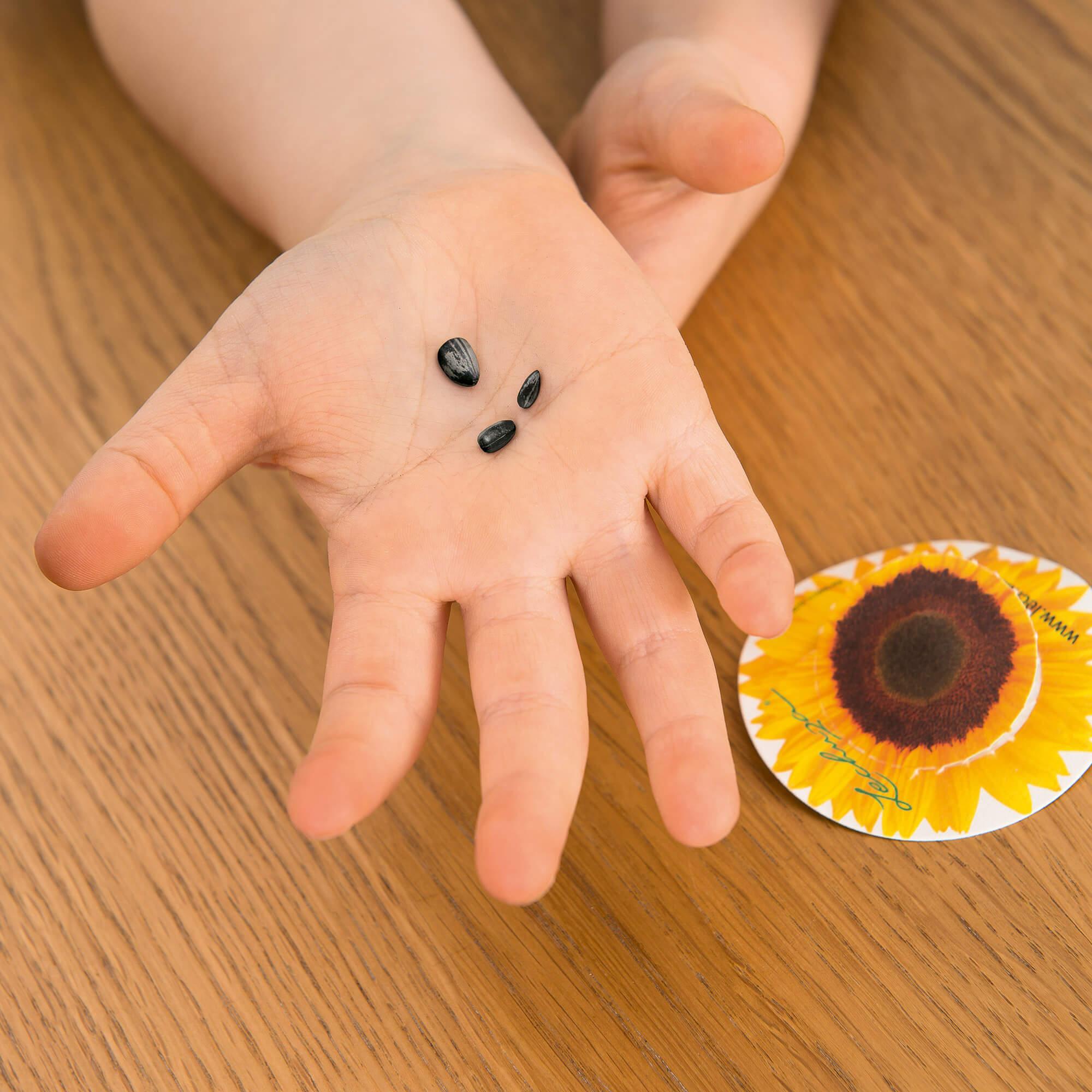 le_kuenstlerset_product_addi_03