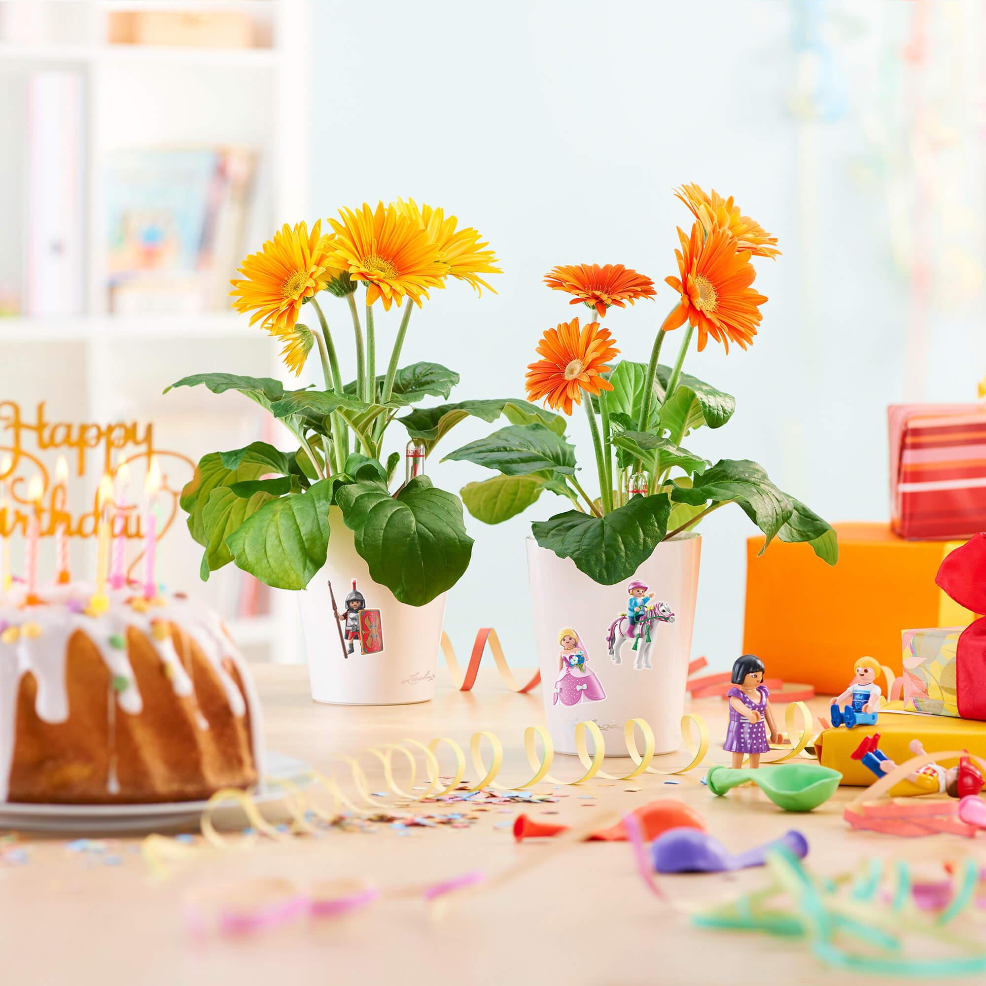 le_kuenstlerset_product_addi_04