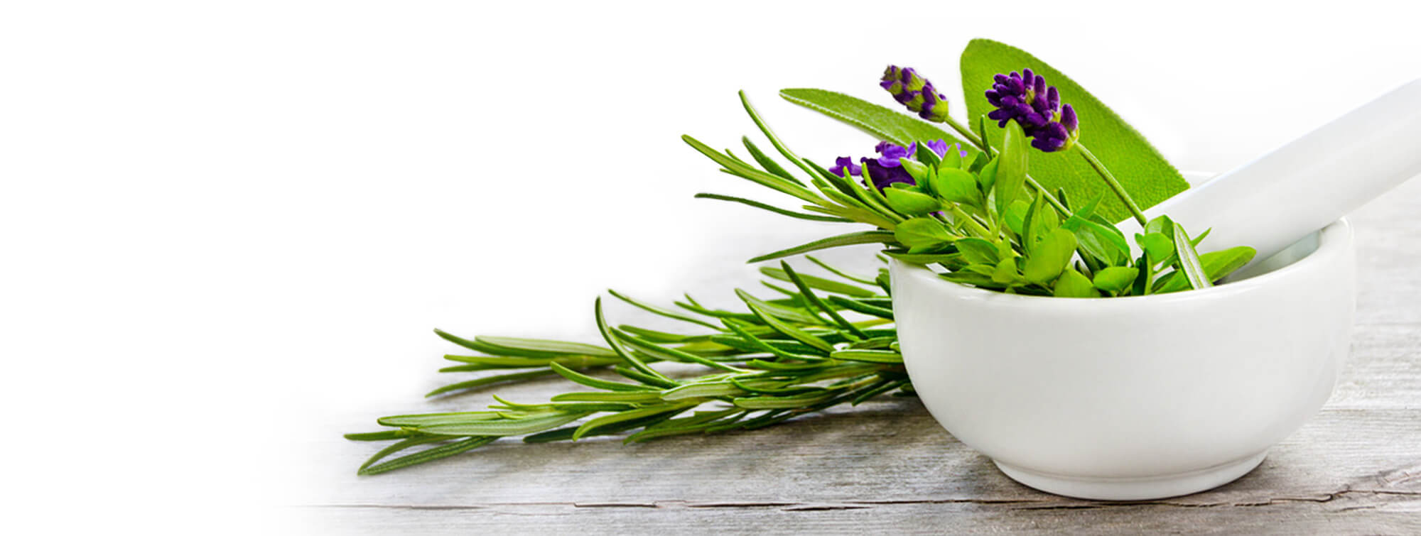 le_tw-kraeuter_lavendel.png