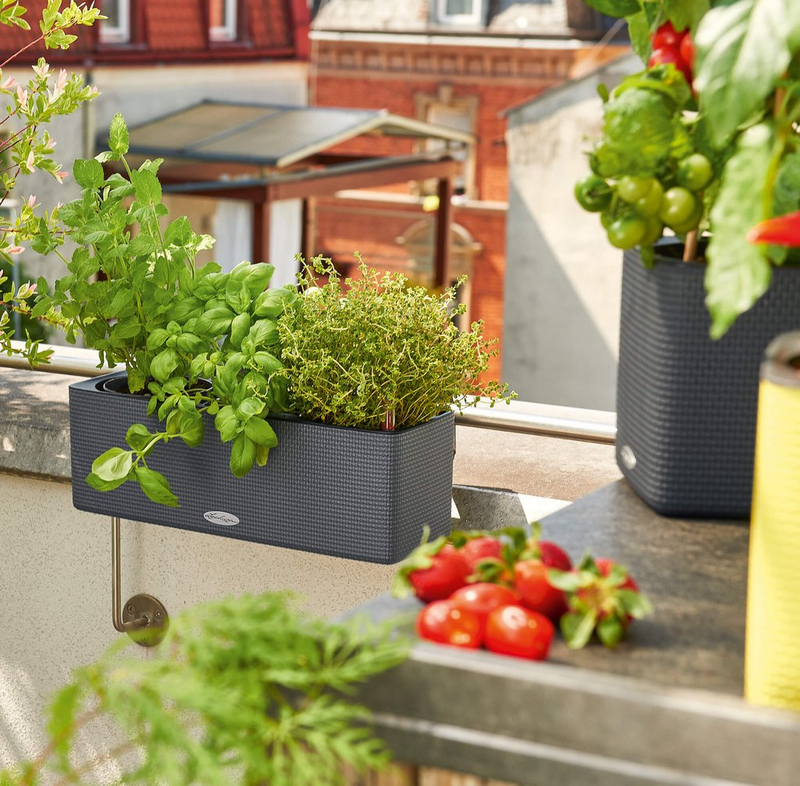 le_tw-urban-gardening_balconissima_gr.png