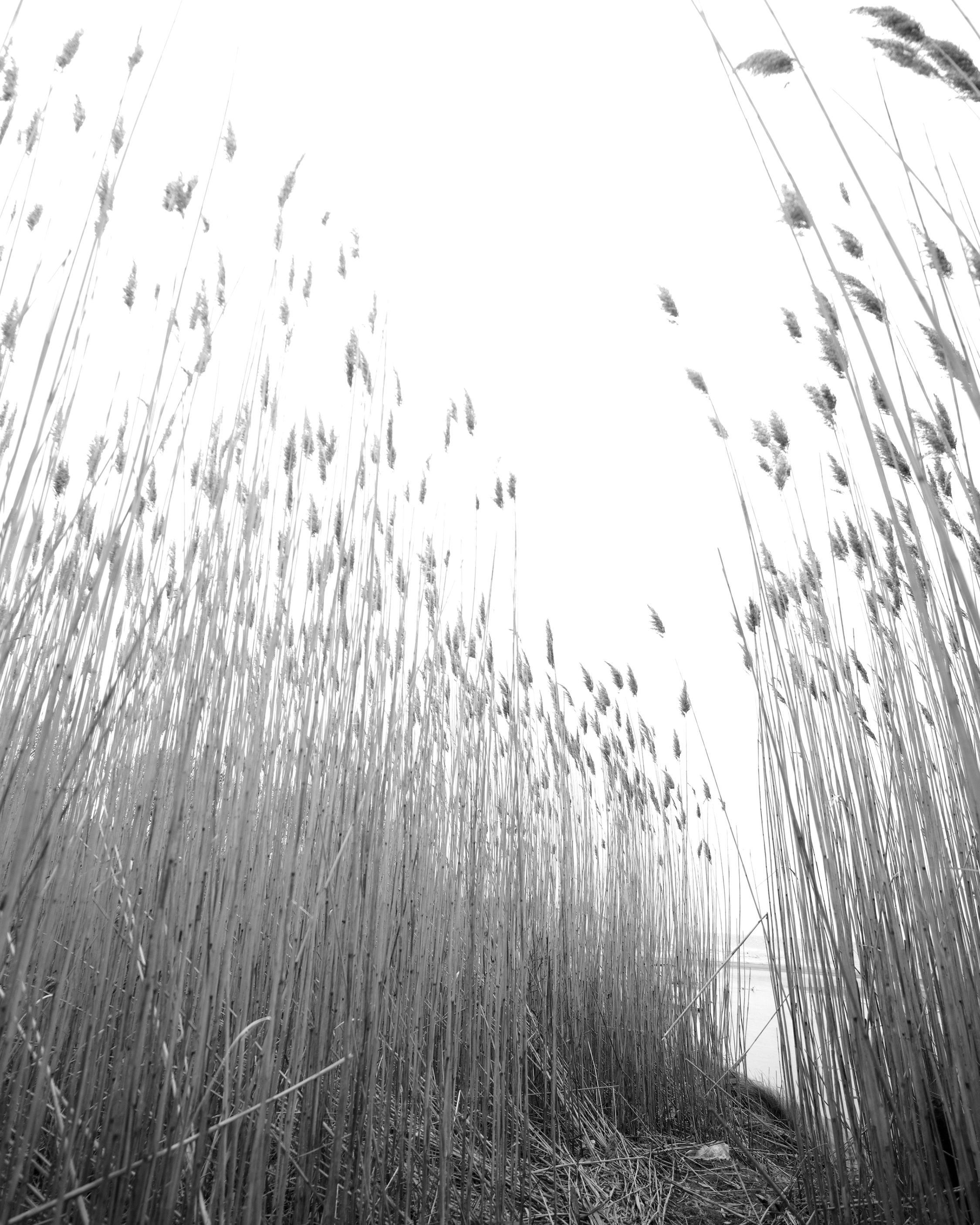 rag and bone cypress