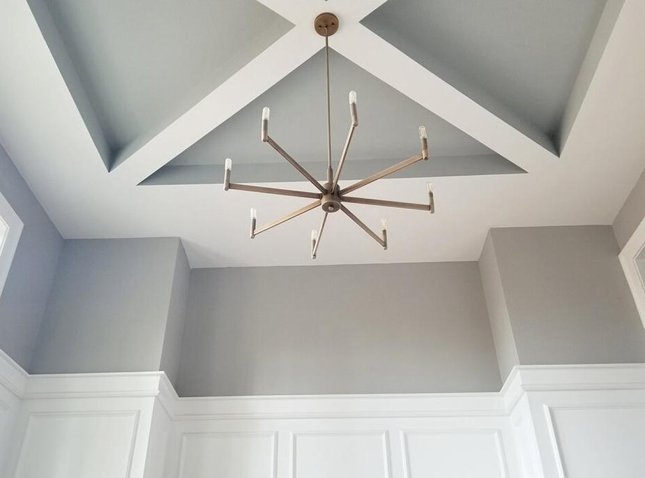 Shannon Homes Ceiling Image