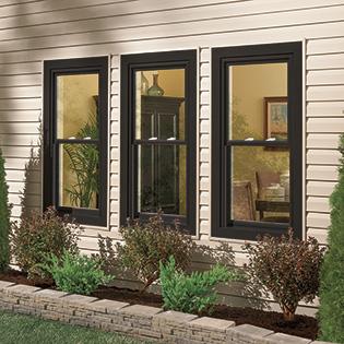 Silver Line<sup>®</sup> image 1