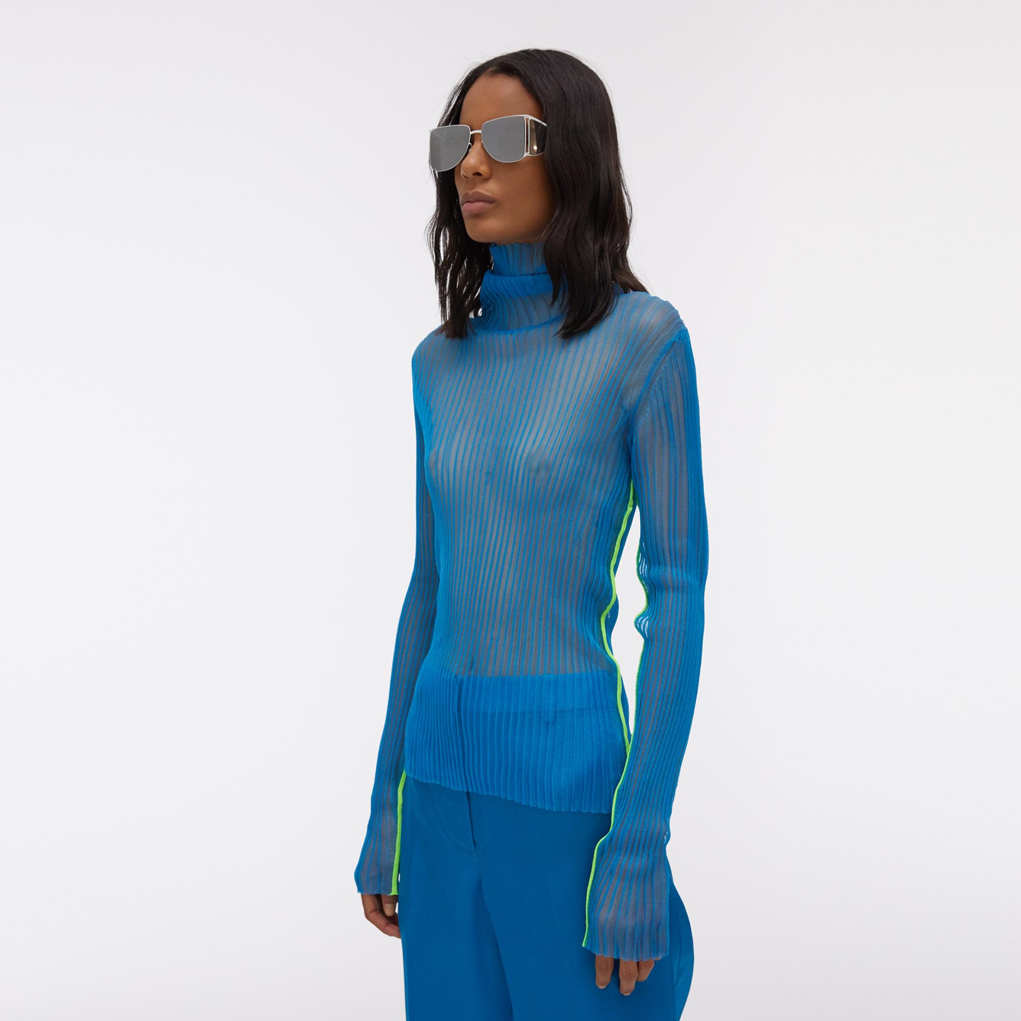 sheer turtleneck blouse