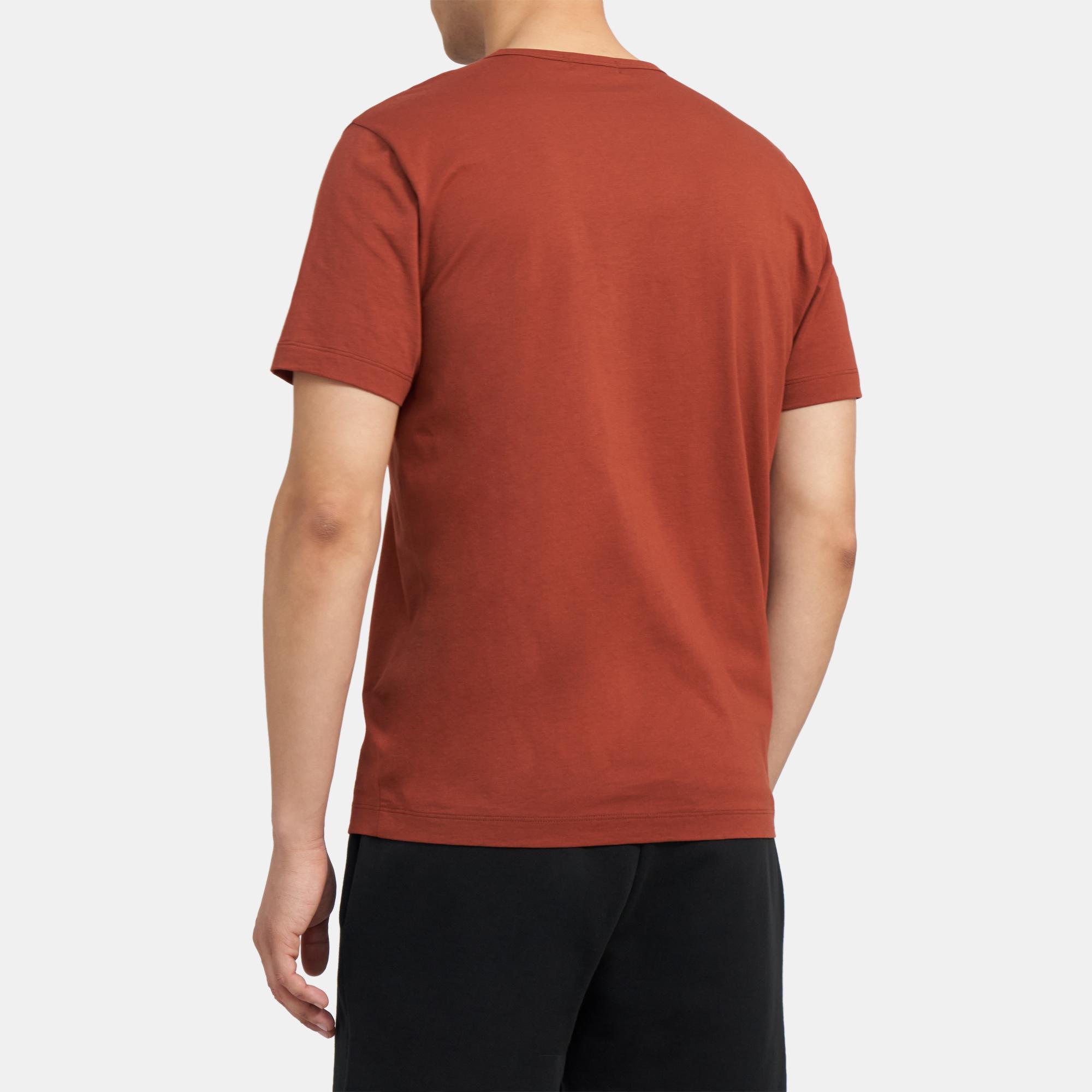 theory precise tee