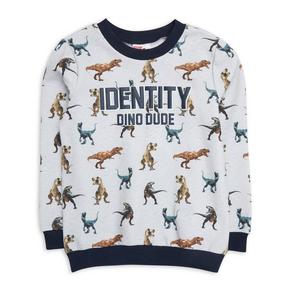 Kid Boy Dino Print Sweater