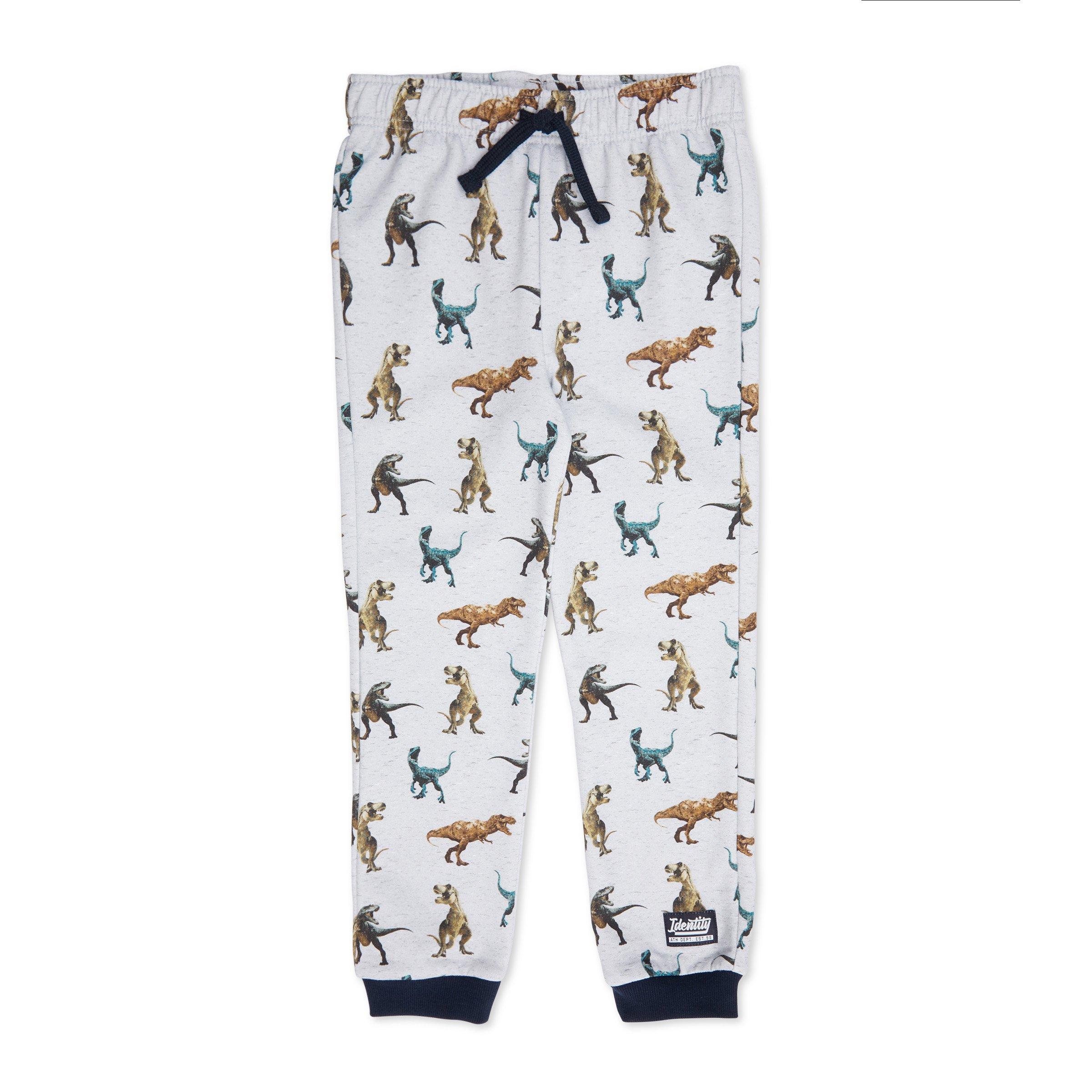 Kid Boy Dino Print Jogger (3072833) | Identity