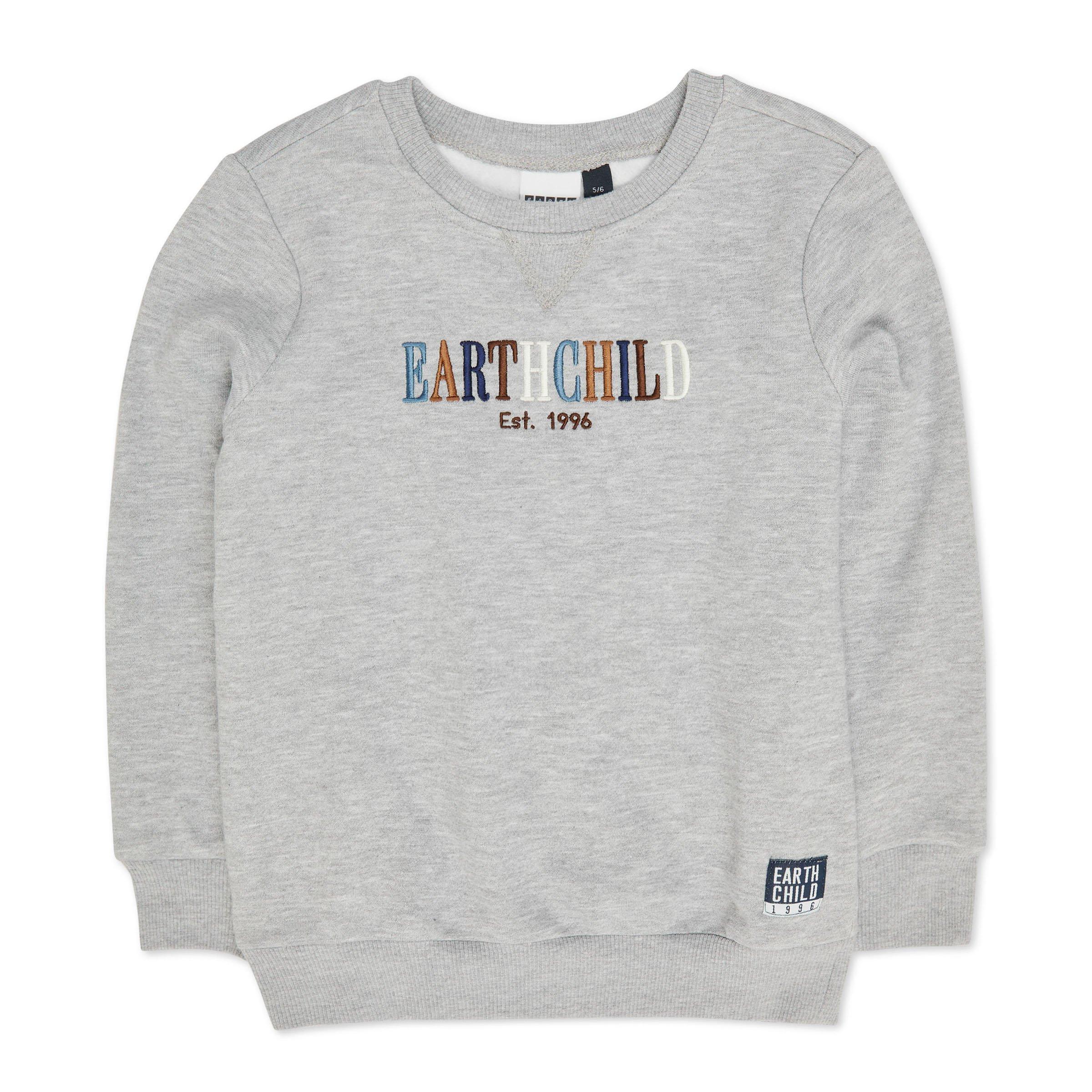 Kid Boy Grey Sweat Top (3126743) | Earthchild