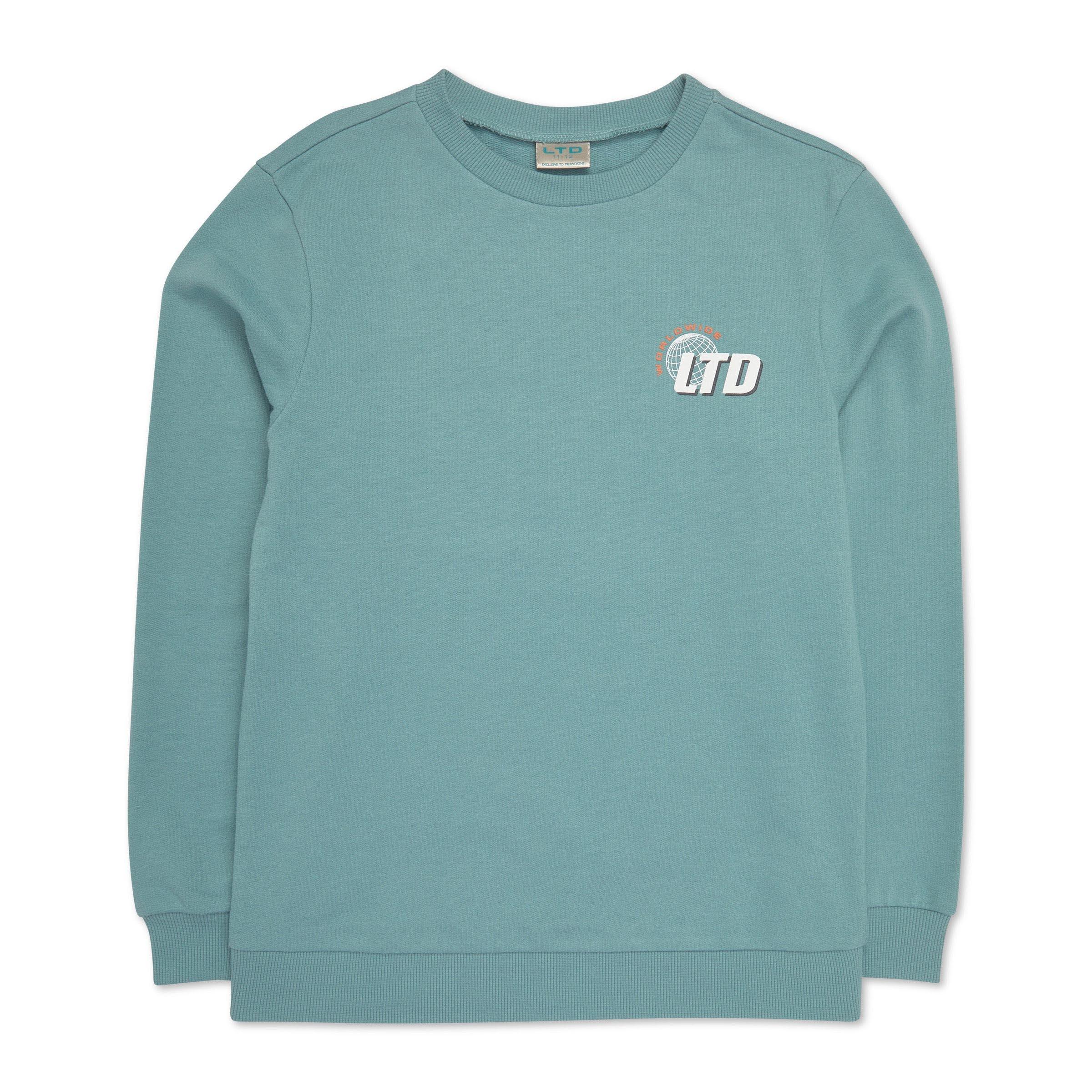 Sage Green Kids/Youth Sweatshirt