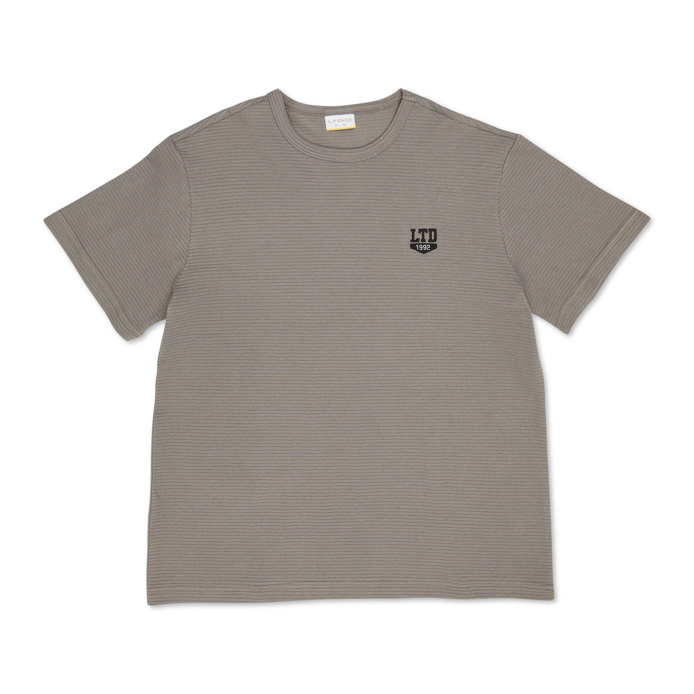 SKY GREY MELANGE STRIPES BOYS LONG SLEEVE T-SHIRT - SKYGREY main image 1