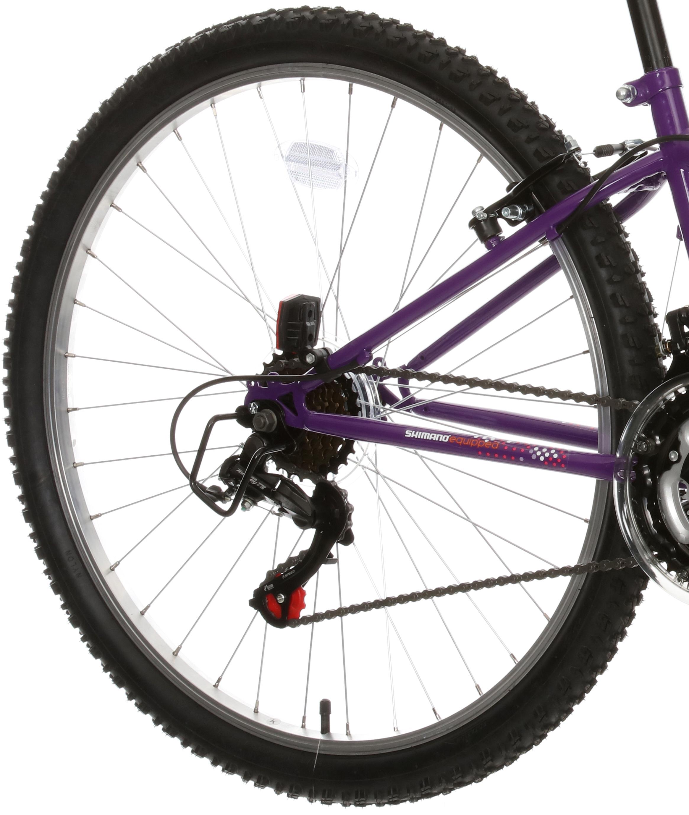 apollo independence junior mountain bike