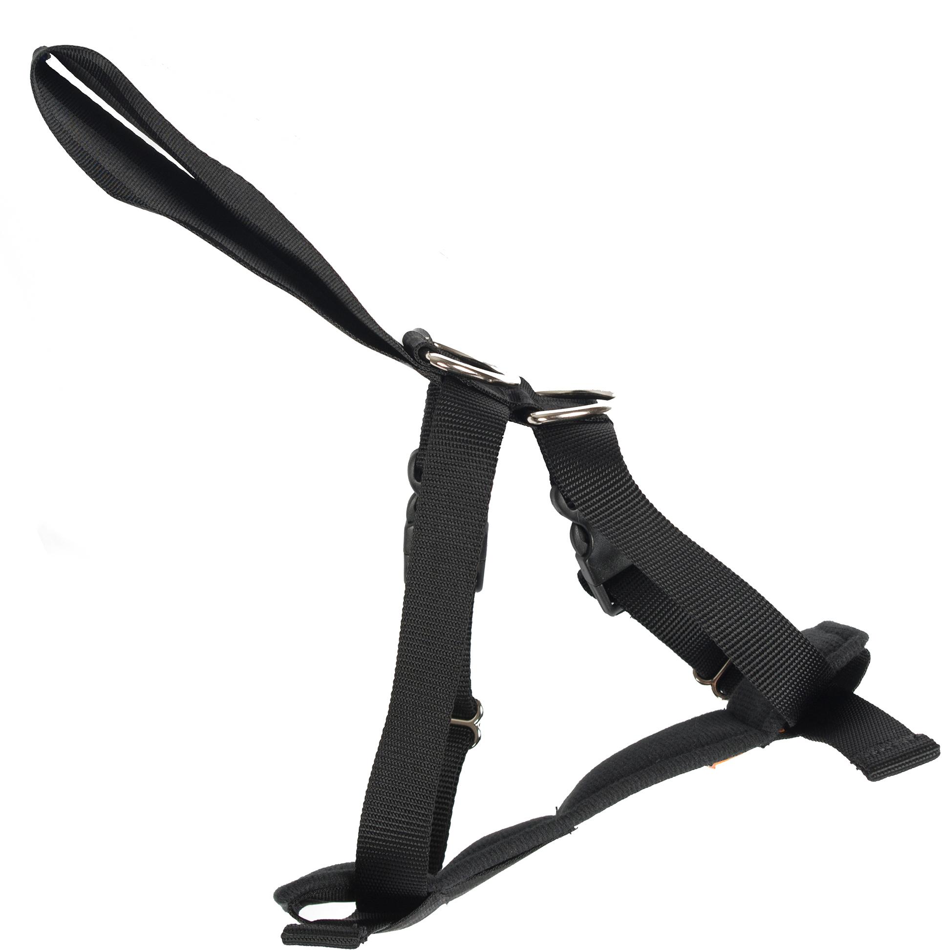 rac dog harness halfords