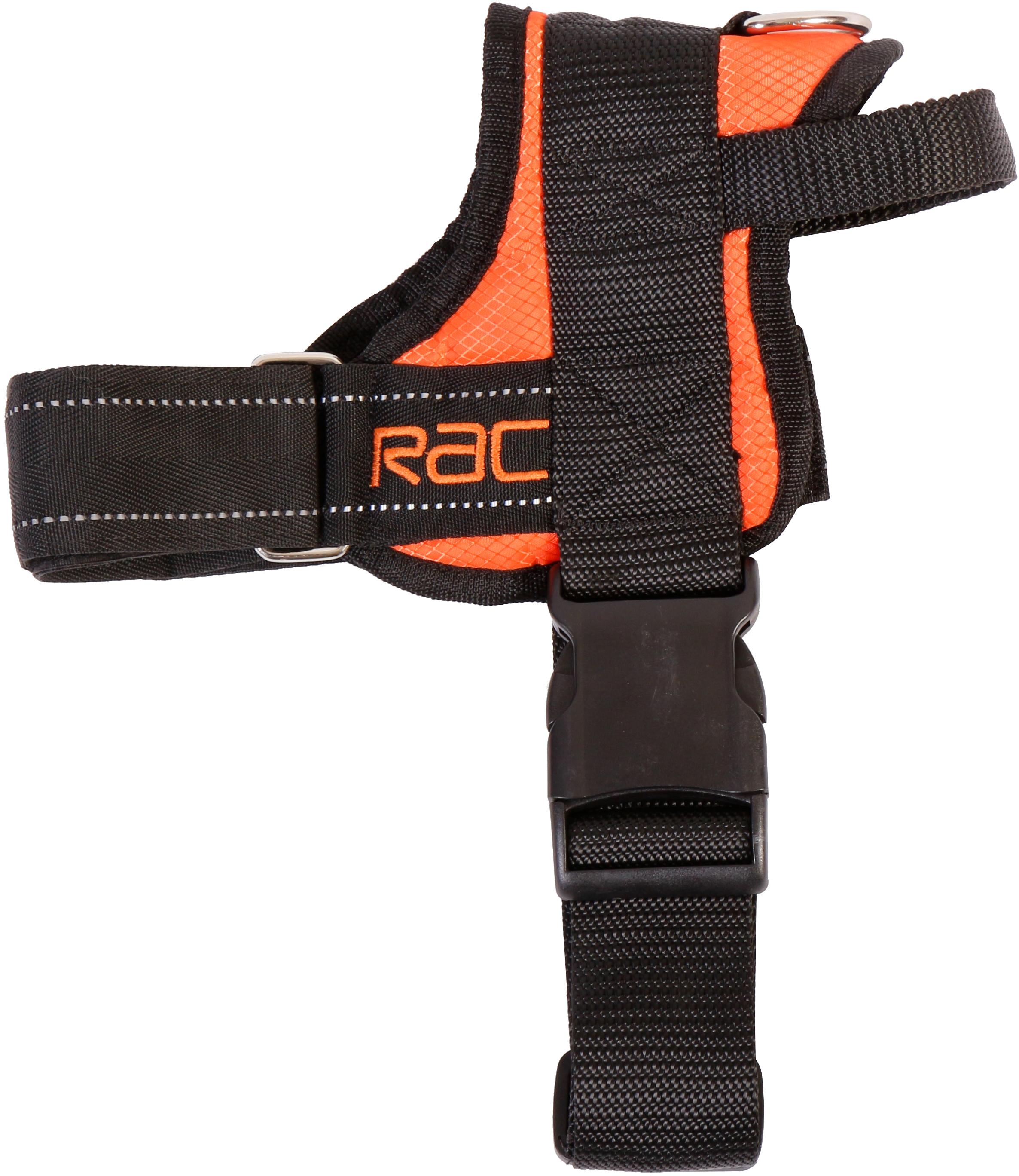 rac dog harness halfords