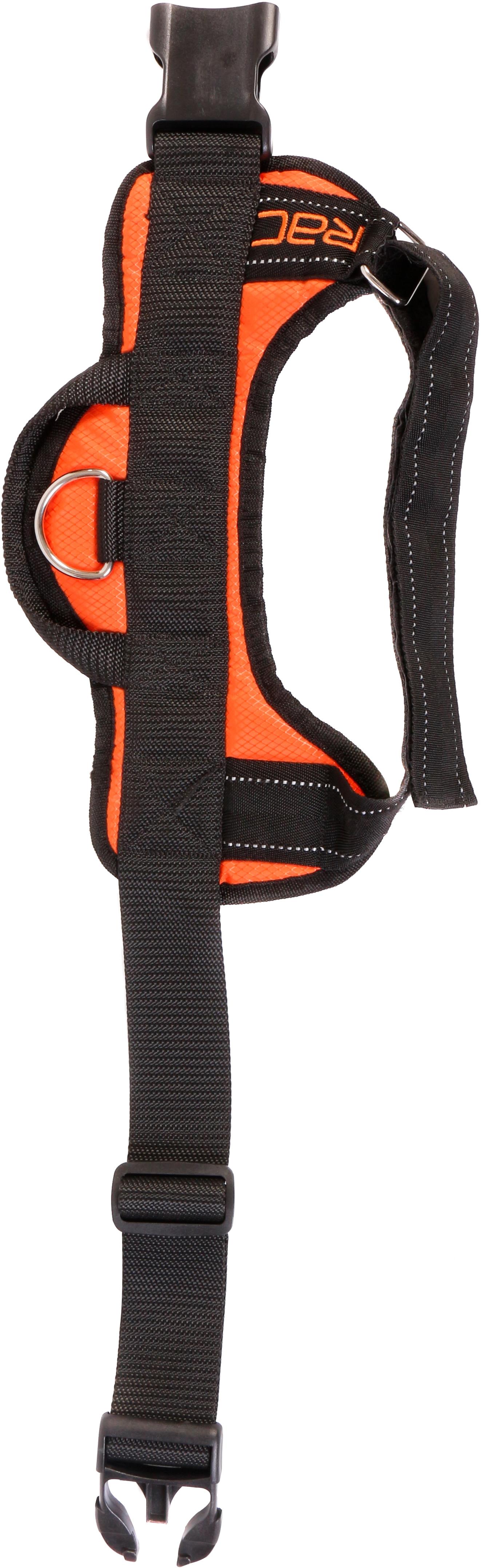 rac dog harness halfords