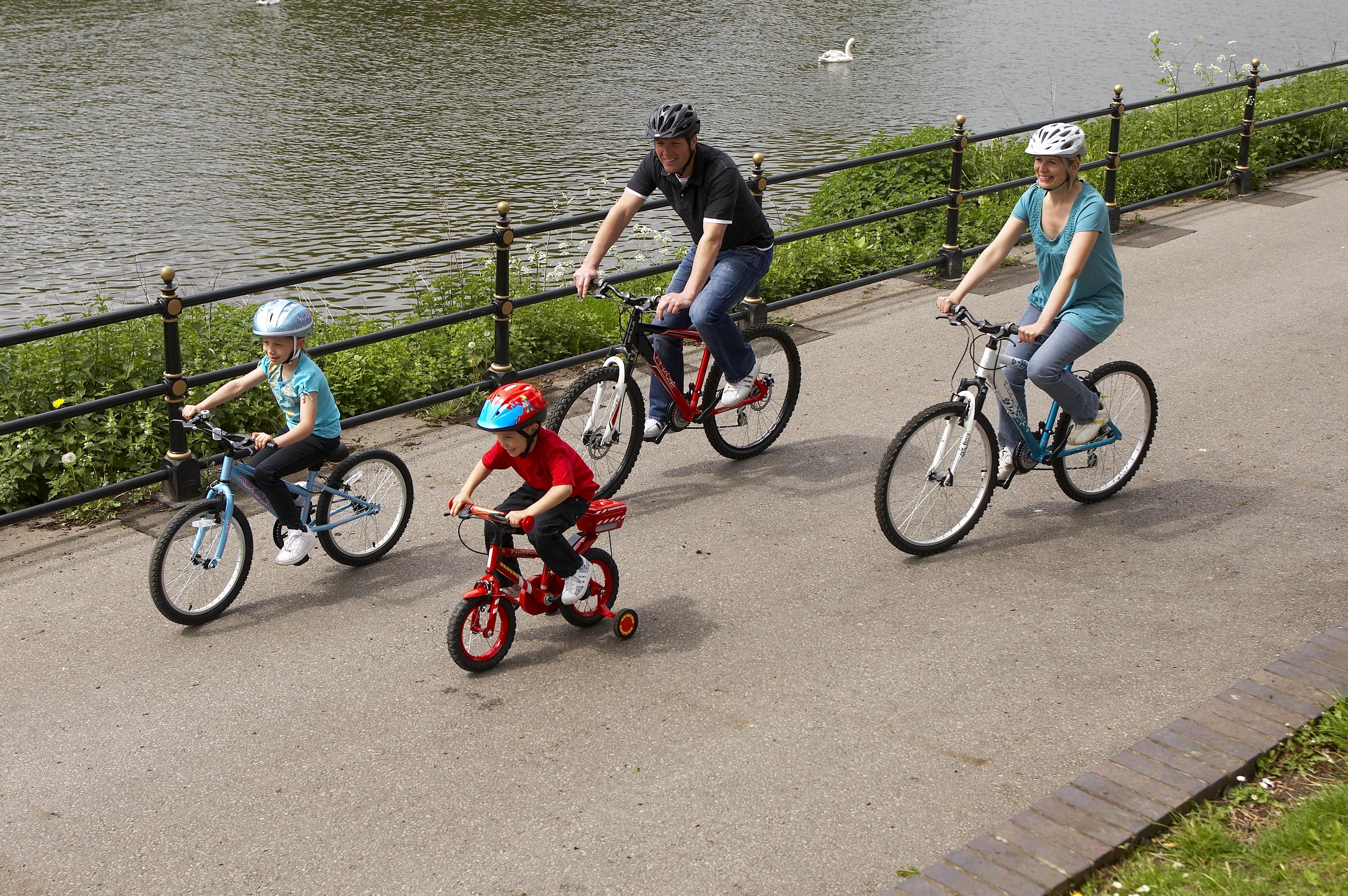 suspension bike seat