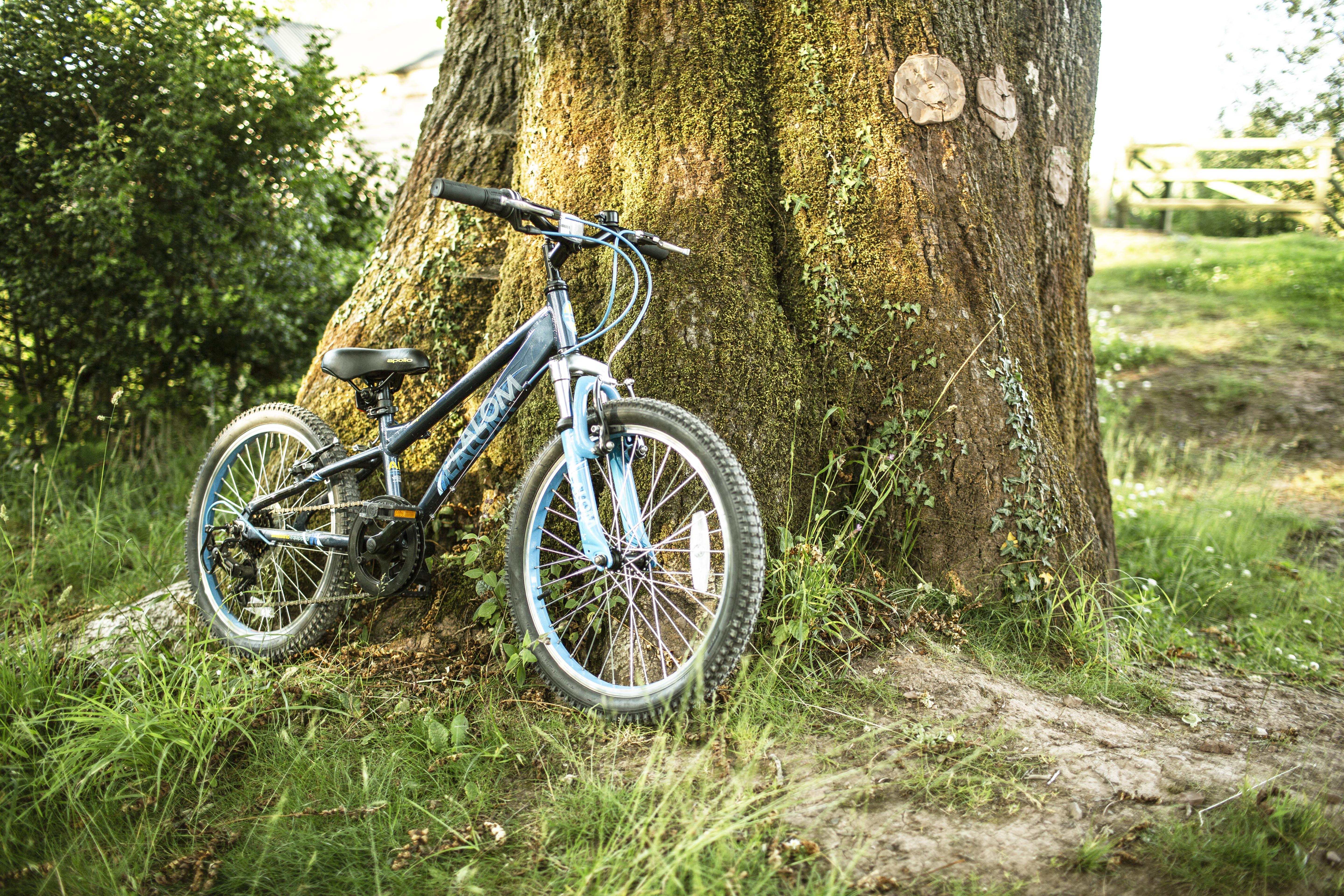 apollo slalom 20 inch