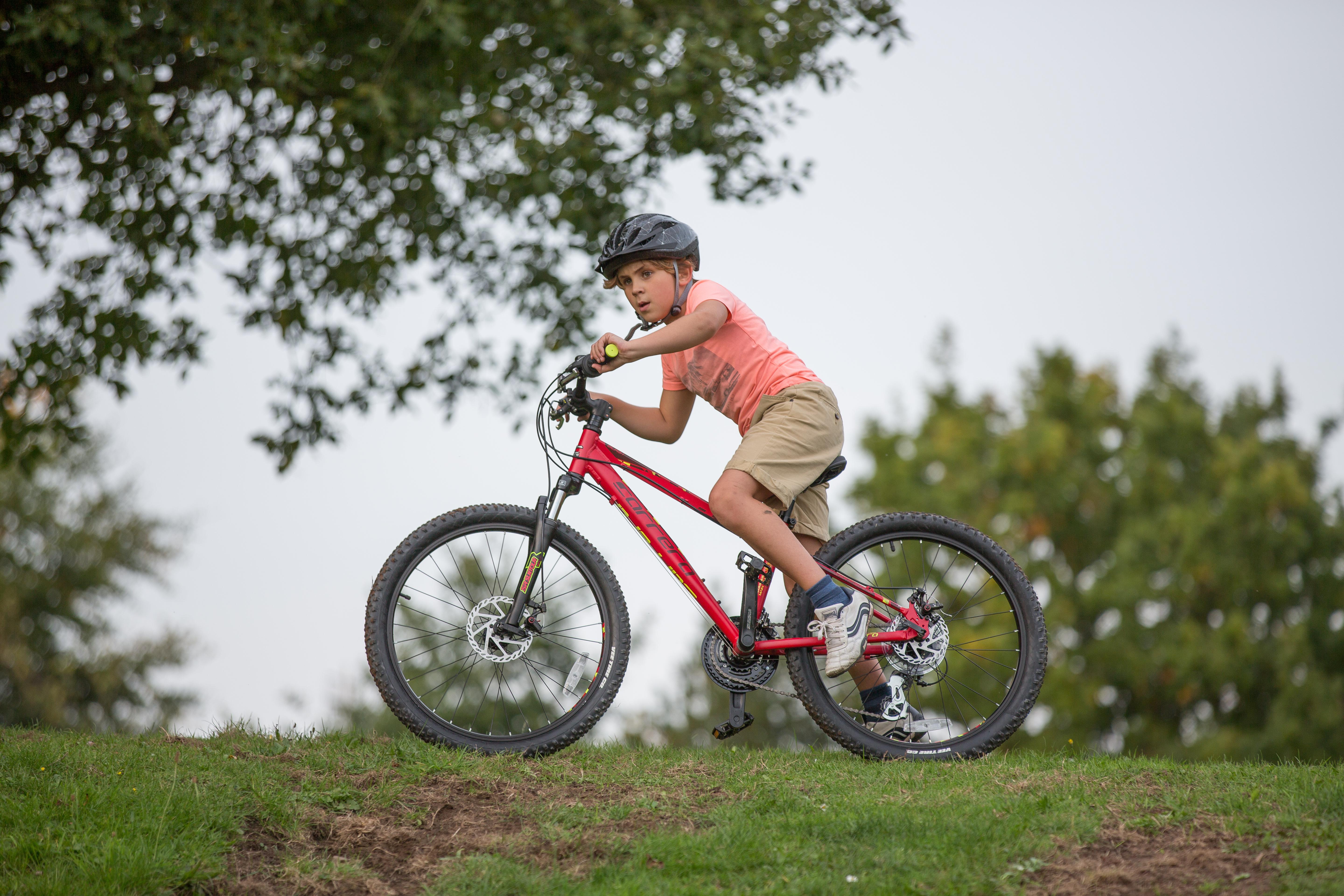 carrera junior mountain bike