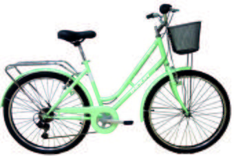 Indur 2024 womens bike