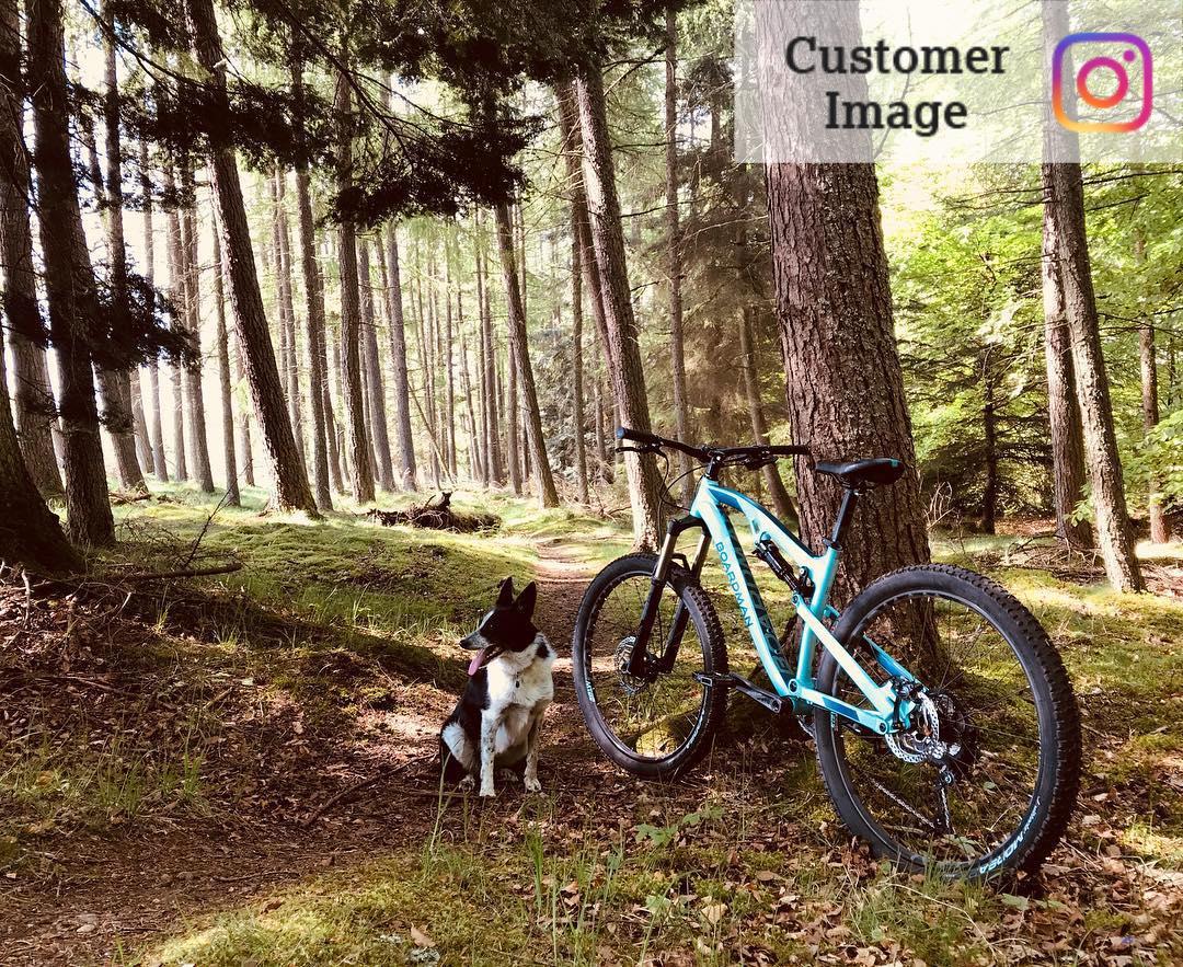 boardman mtr 8.8 womens mountain bike