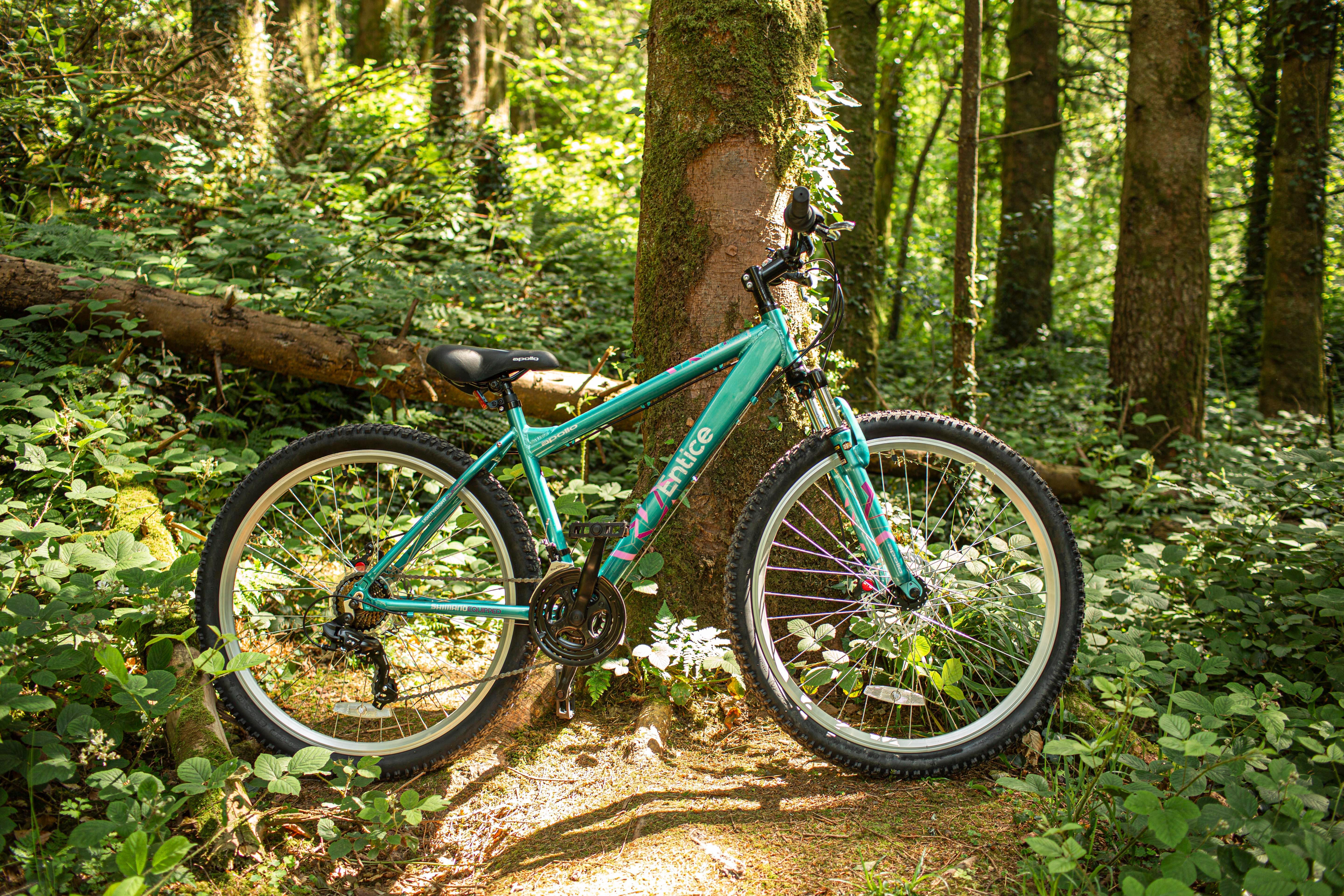 apollo entice ladies mountain bike