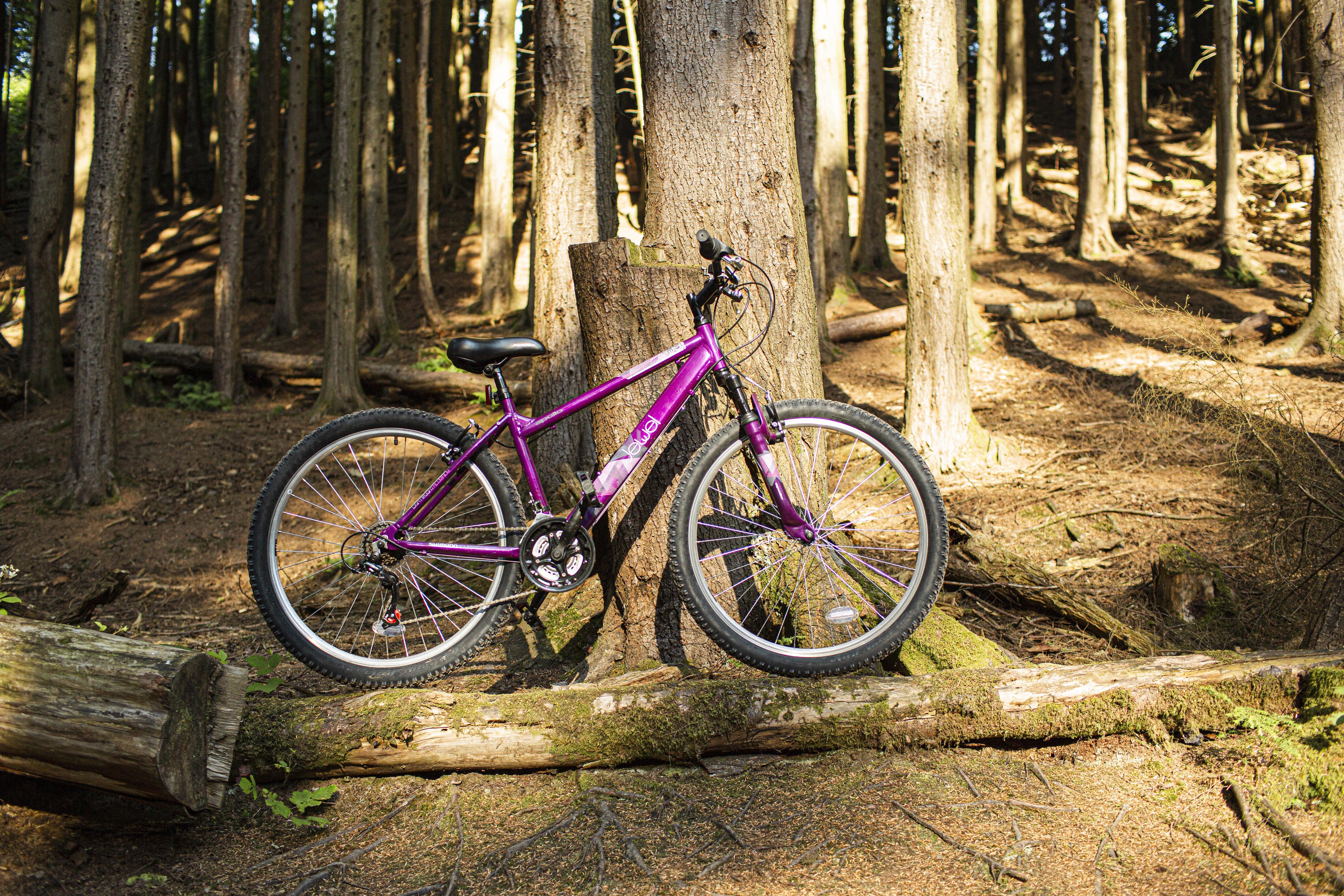 ladies apollo jewel mountain bike