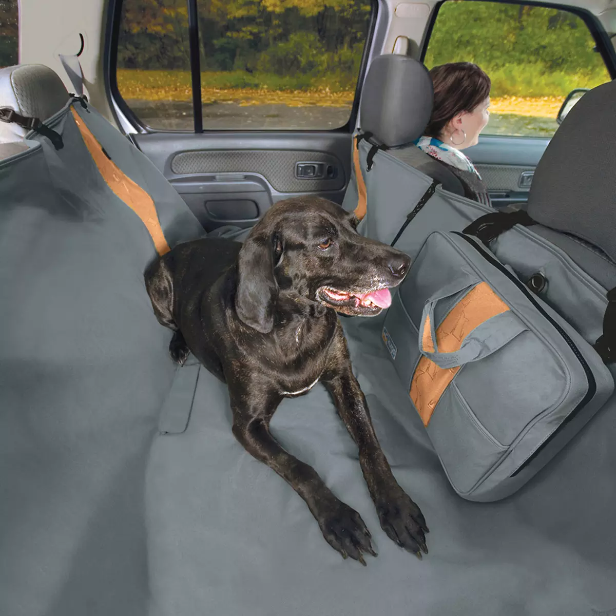 car dog guard halfords