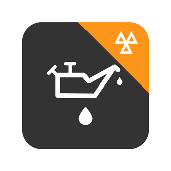 Interim Service and MOT