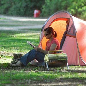 Ashurst Campsite, New Forest