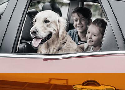 Mot Servicing Tyres Brakes Repairs Halfords Autocentres