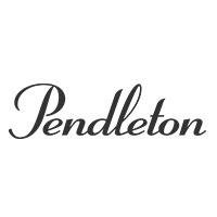 pendleton spin bike